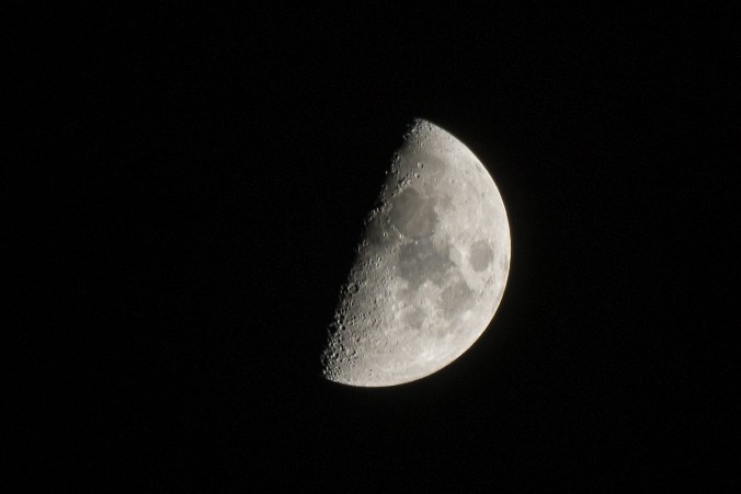 The Photographers Block--11