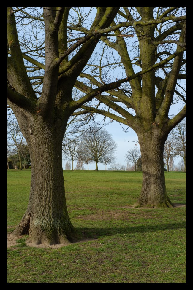 The Photographers Block--12