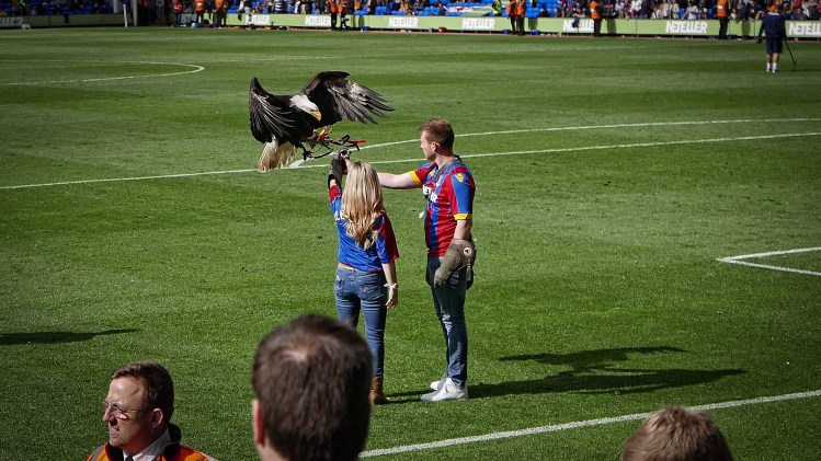 The Photographers Block--48