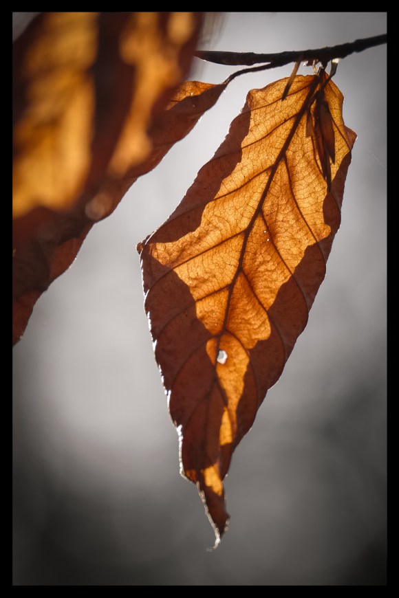 iridient-first-tries-5