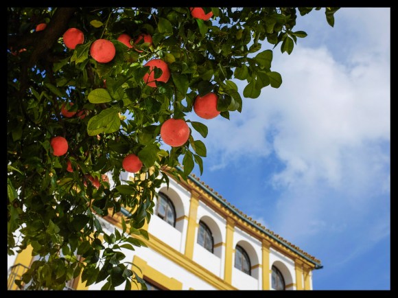 sevilla-12