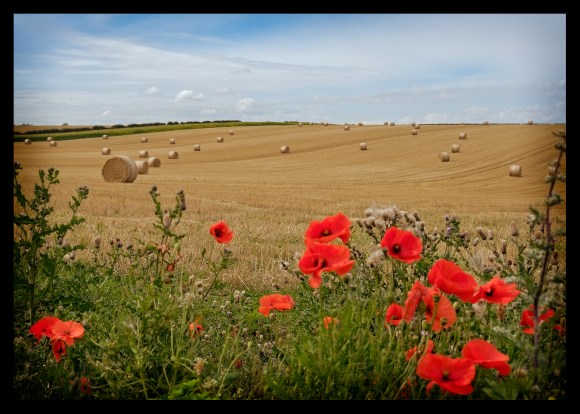 untitled-16-Edit-Edit